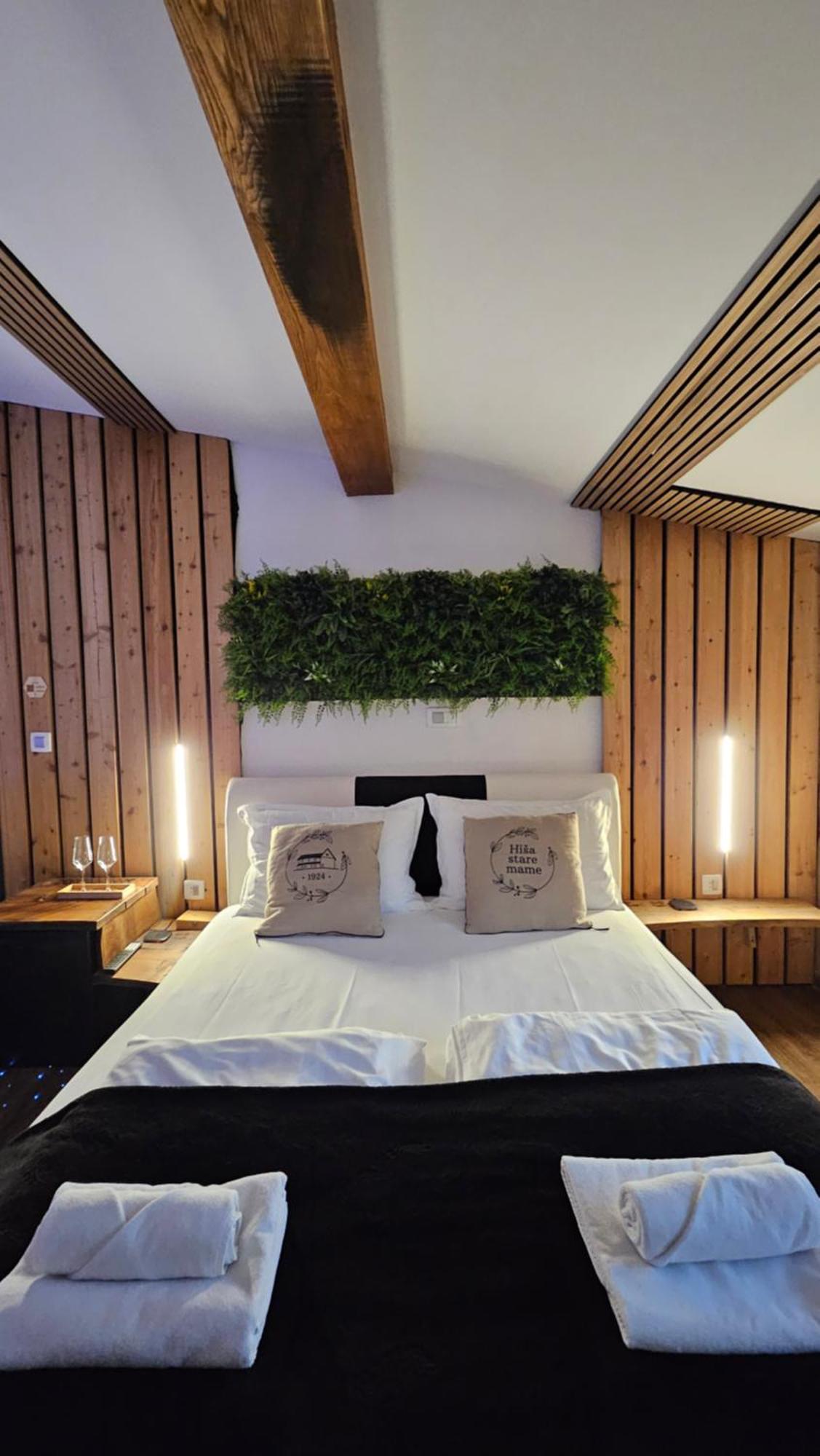 Hisa Stare Mame Bed & Breakfast Kamnik Exterior photo