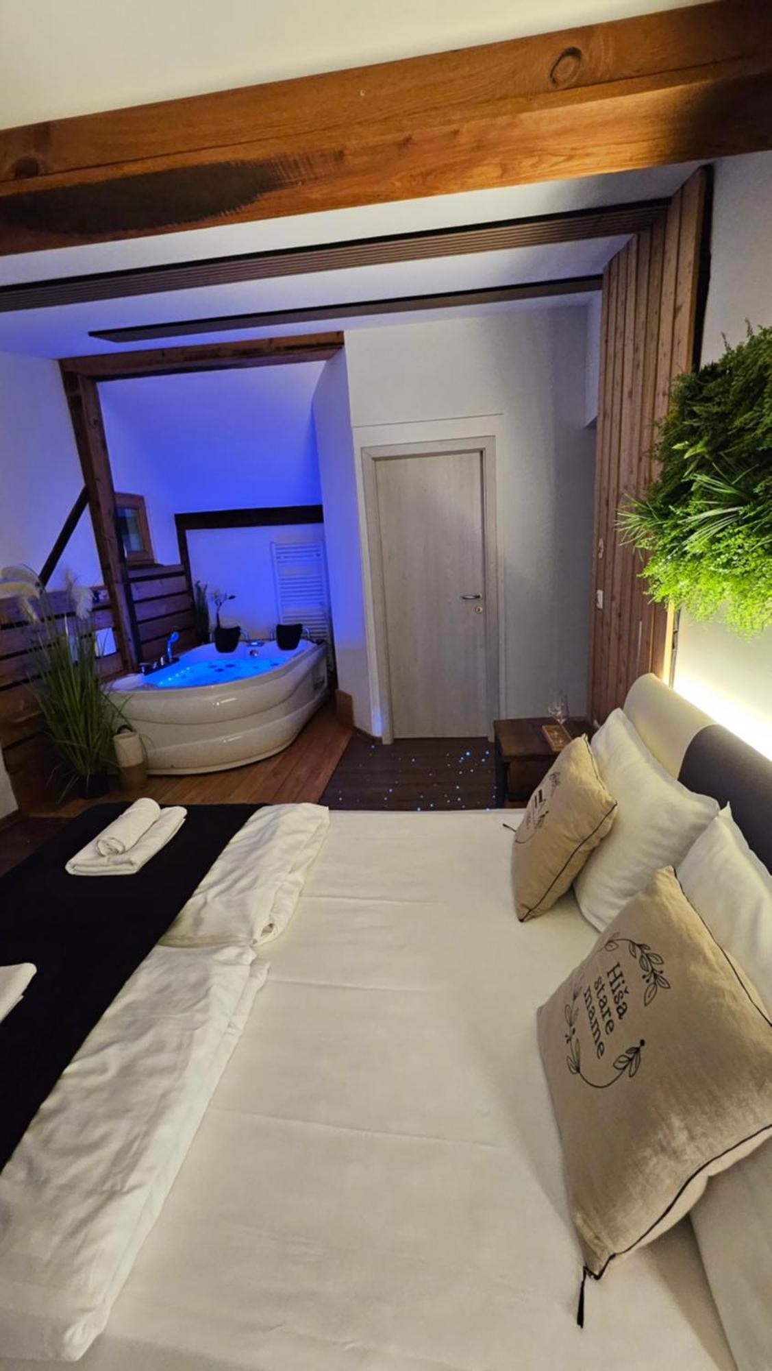 Hisa Stare Mame Bed & Breakfast Kamnik Exterior photo